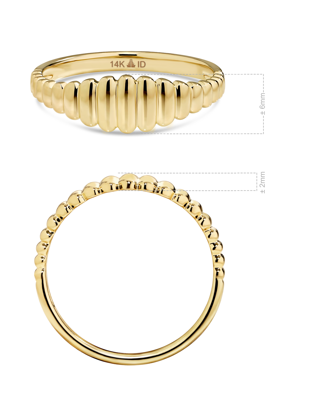 Ribbed Ring in 14K Gold