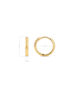 hoop earrings in 14K Gold