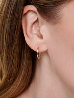 hoop earrings in 14k gold