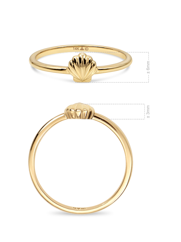 14K Gold Shell Ring